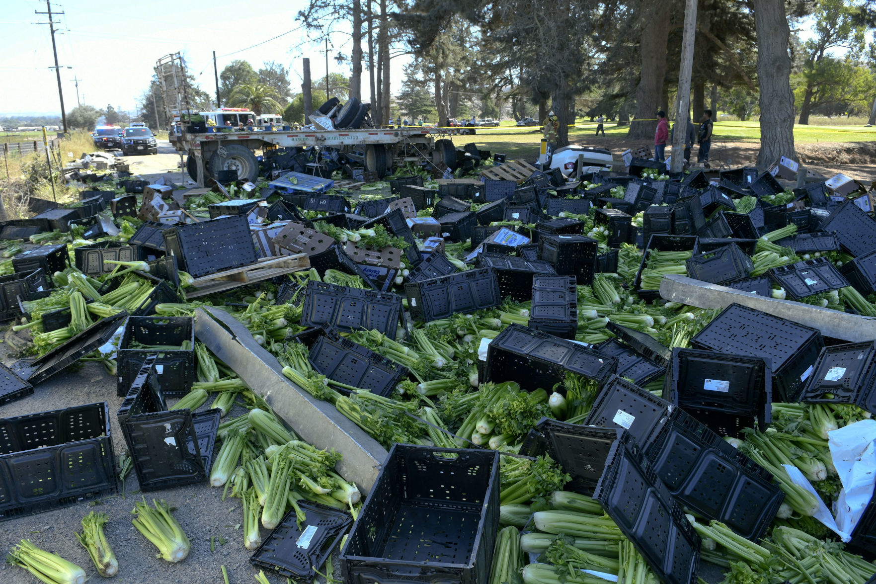 100419 Fatal crash 02.jpg